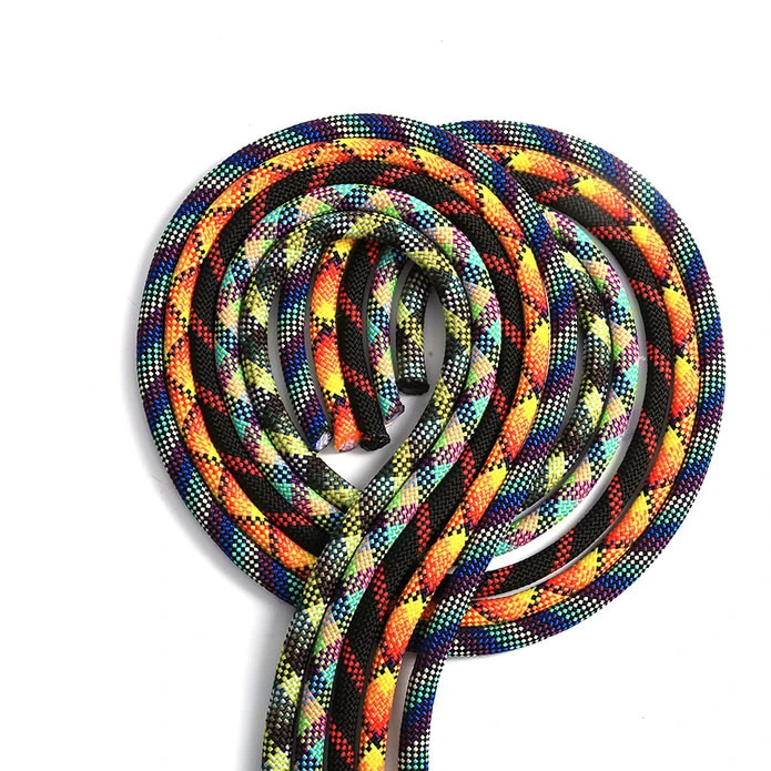 Wholesale Fashion Durable Polypropylene Rope PP 10mm Thick Rope Dog Leash Braided Rope For Pet Leash Bag Handle