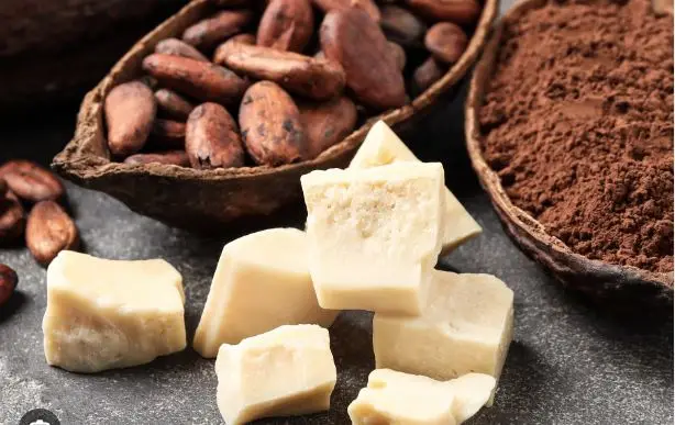 Wholesale Manufacturers and Exporters for Cocoa Butter Used for Cosmetics Available with Customized Packing and Affordable Price