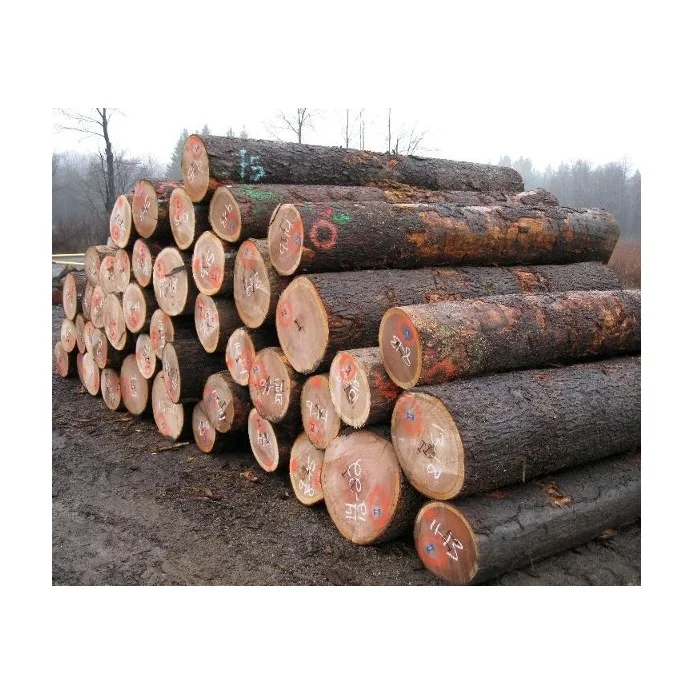 Best Price Hardwood Oak round Logs/Timber Wholesaler of Durable Wood Resources