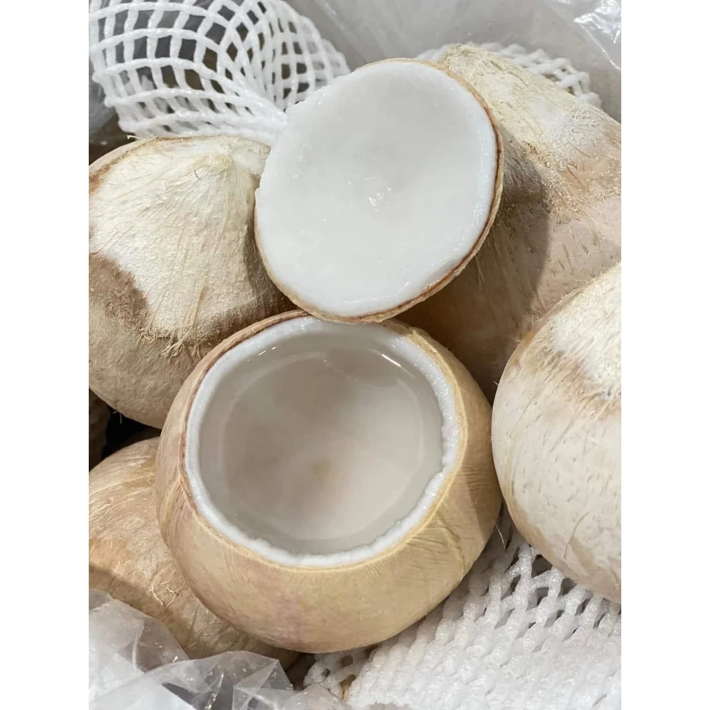 Fresh Young Fragrant Coconut| Thai Aromatic Peeled with easy open tool | Top export to Thailand, China| Sweet and Fragrant