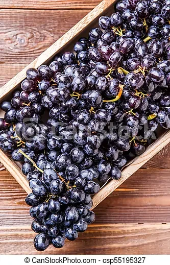 Good Quality Premium Black Grapes with Good Sweet Content and Flavorful Available at Wholesale Price from Indian Exporter