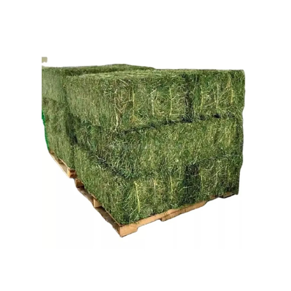Cheap Top Quality Alfafa Hay for Animal Feeding Stuff Alfalfa ,hay/Timothy hay