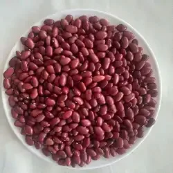 Red Kidney Beans Hot Selling Dark Red Kidney Beans With Export Price