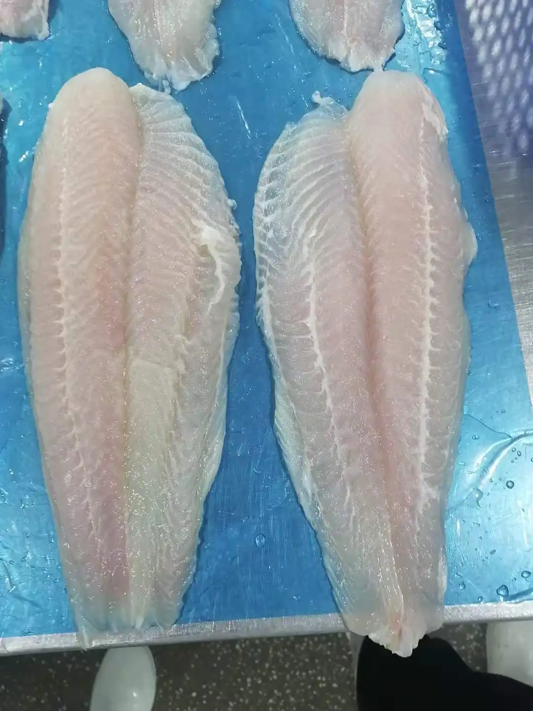 Vacuum Pack Supplier Part Style Best Price Negotiation Support frozen pangasius fillet price Pangasius from Vietnam