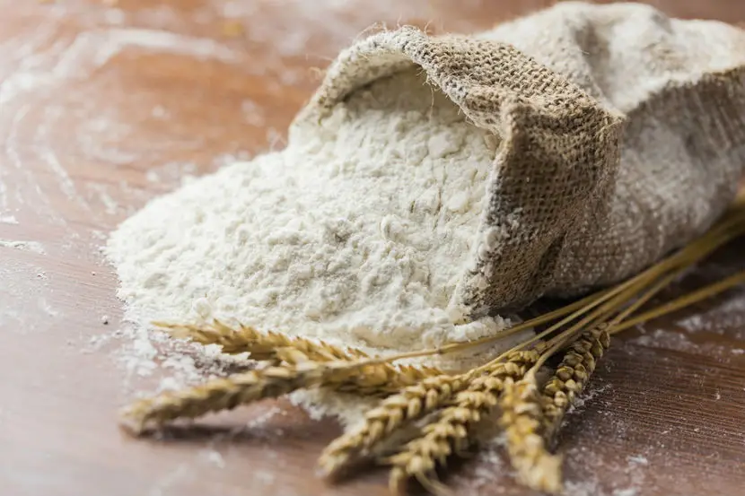 All Purpose White Wheat Flour Dried Multipurpose Flour in Bag Made From Oat and Buckwheat