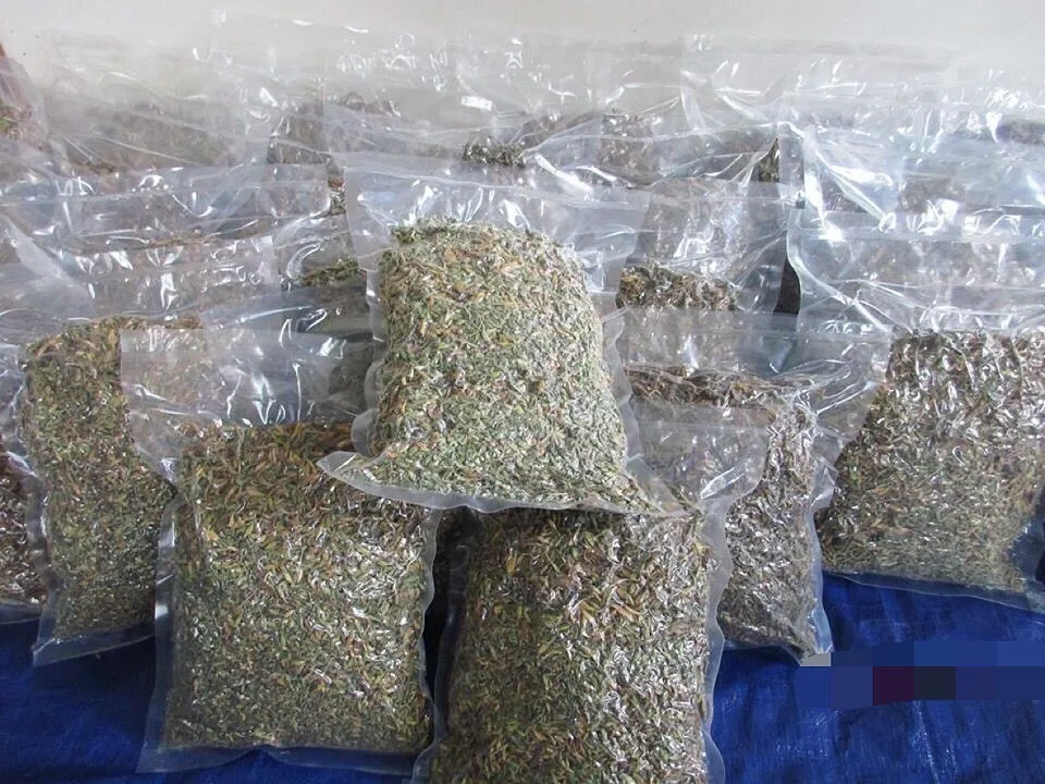 DRIED MALE PAPAYA FLOWERS / AROMATIC HERBAL BLEND HIGH-QUALITY MADE in VIETNAM