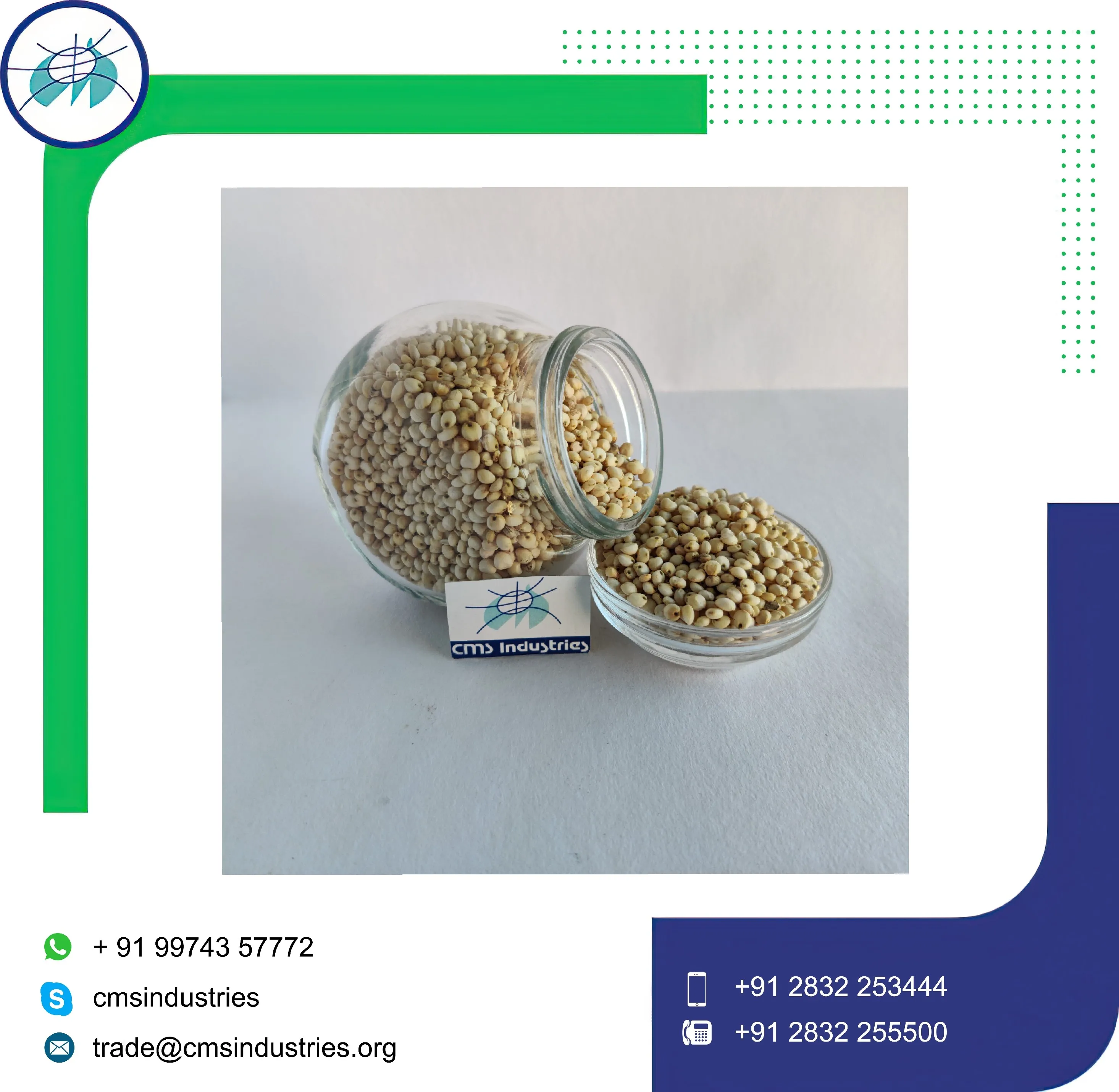 Indian Supplier High Purity Snow White Sorghum