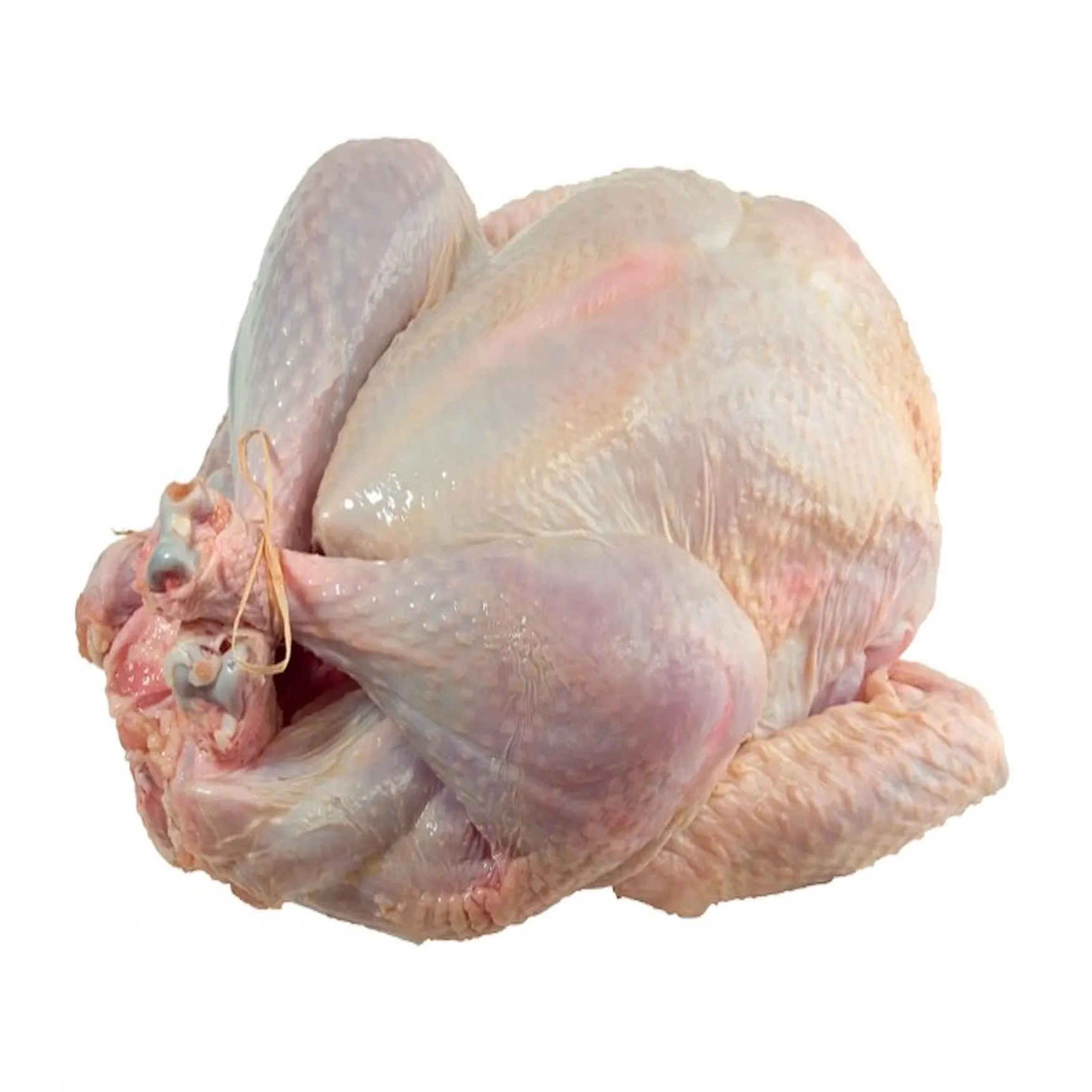 Top High Quality Halal Turkey Meat Wholesales
