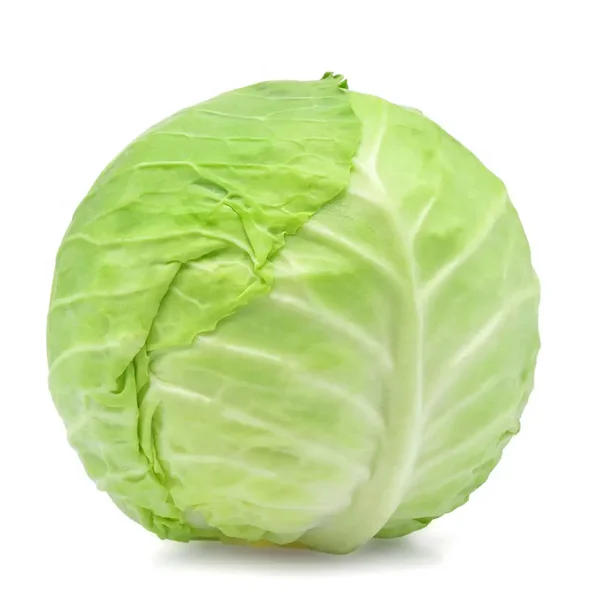 Fresh Round Cabbage Good Quality From USA