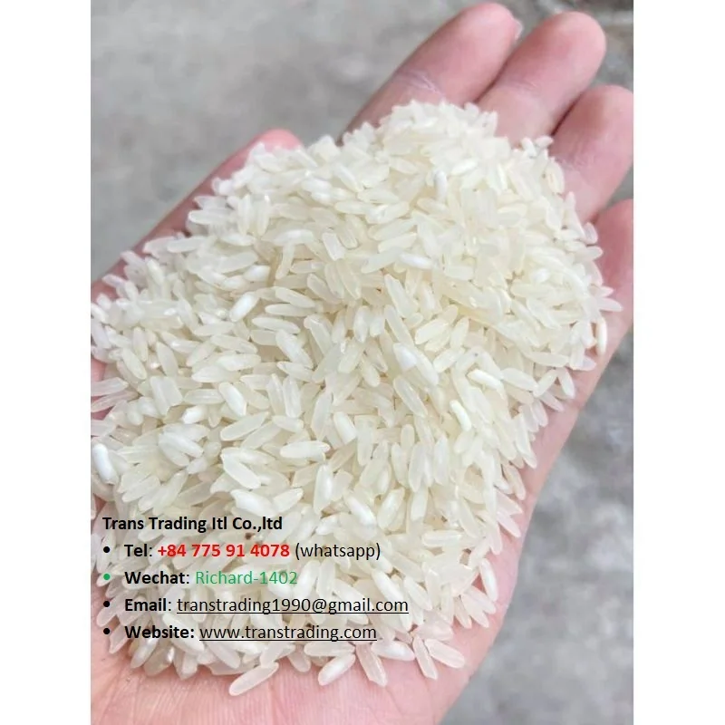 High Quality Best Price Manufacturer white rice wholesale Vietnamese Long Grain White Rice IR504 from Vietnam