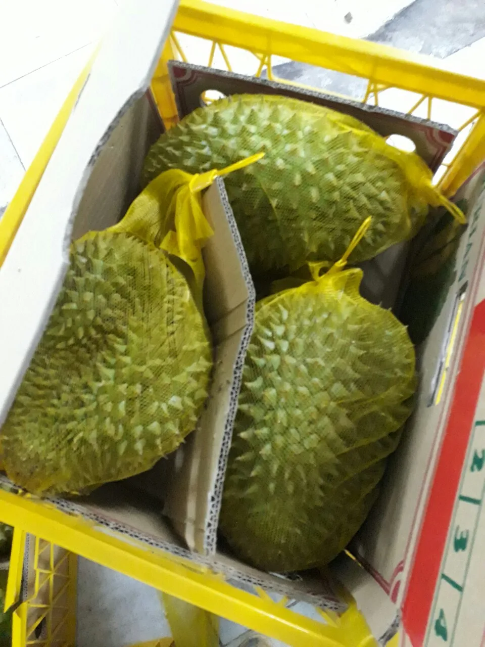 Newest crop Frezze Durian Wholesale Frozen Durian Common Cultivation Type Fresh Ri 6 Durian Export factory price