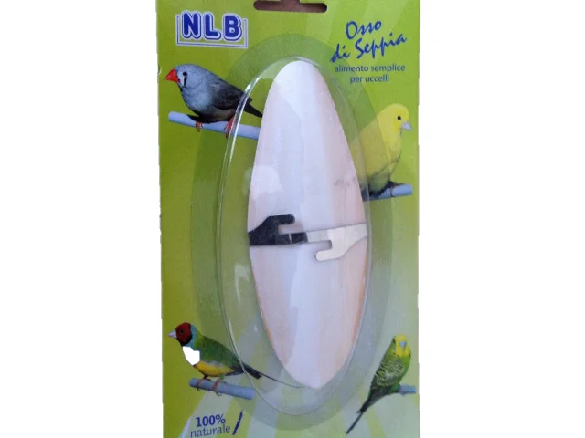 Manufacturer of Cuttlefish Bone - Cuttlebone/100% Natural Manufacturer Birds Food with white color & Clean Oval 4.5 inches
