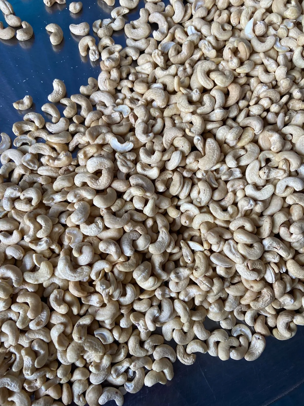 With Good Price And All Size Raw Salted Roast Cashew Nuts For Snack Made In Vietnam High Quality Raw Cashew Nuts