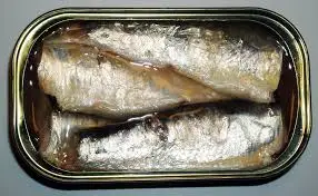 Canned Sardine fish in vegetable oil 125g club cans