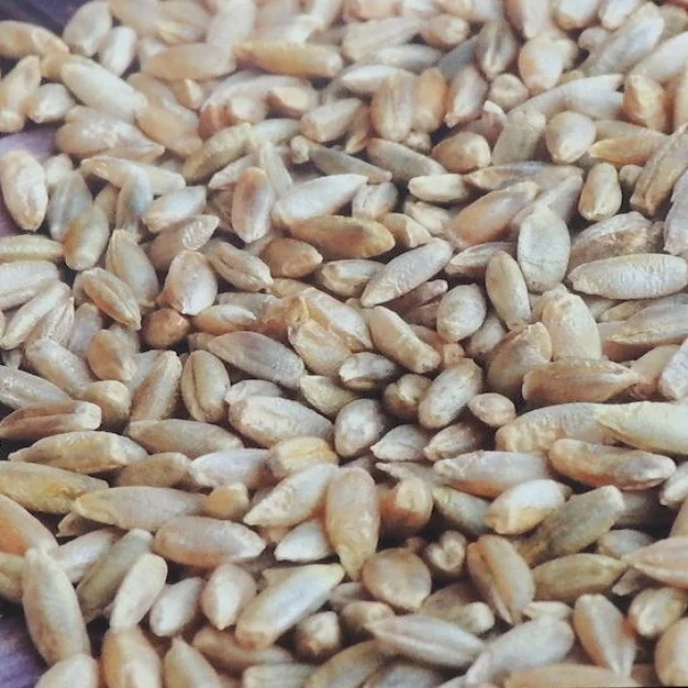 Урожай зерен высокого качества 2021