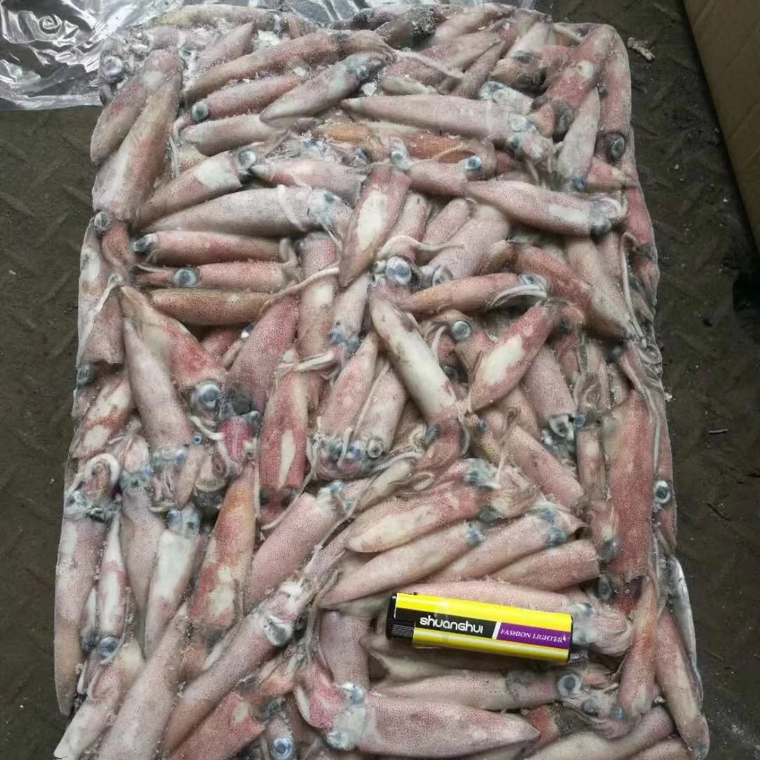 Wholesale Frozen Chilled Squid Frozen Giant Squid Seafood Supplier