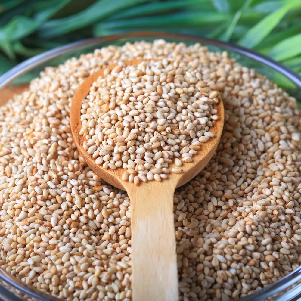 Best Quality White Sesame Seeds from India