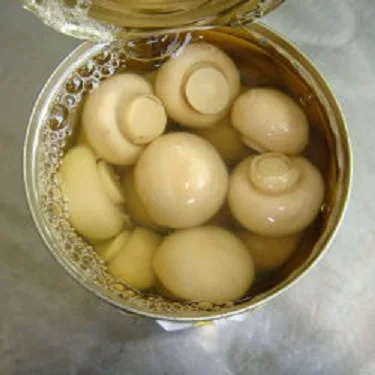 Hot sale Canned mushroom