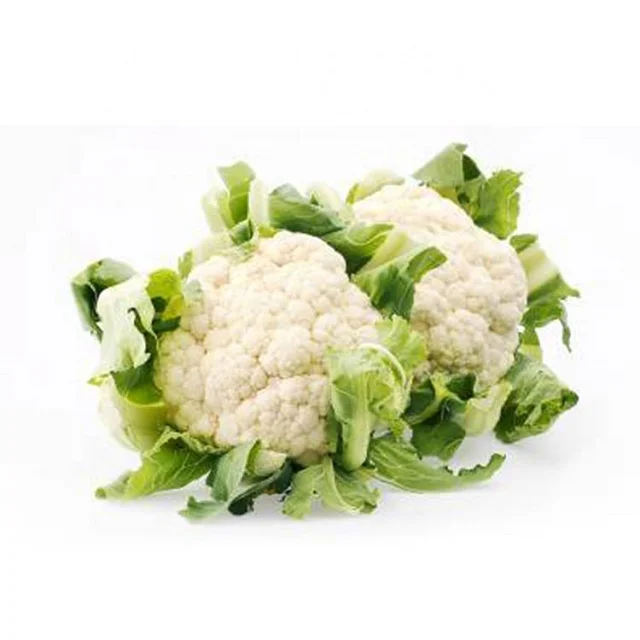 100% Natural Product Food Grade HACCP GAP Certification Quality Fresh Vegetable Cauliflower