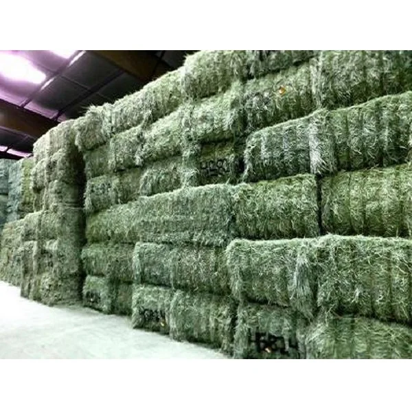 Alfalfa Hay for Animal feed