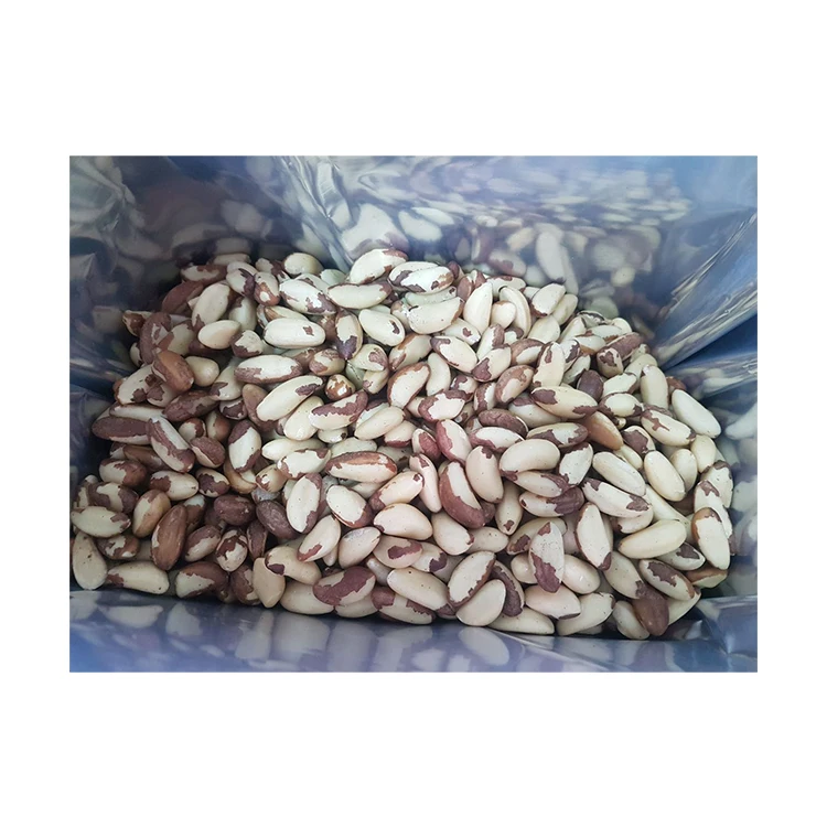 Reasonable Price Best Quality Raw Processing Type Fresh Crop Protein and Essential Amino Acids Brazil Nuts from Peru Supplier