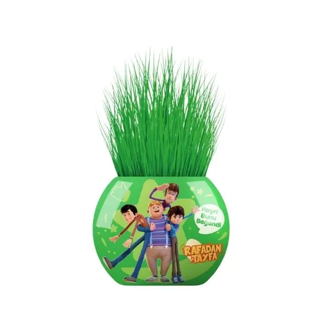 Rafadan Tayfa Licenced Grass Head Toy High Quality Customizable Grass Man Planting and Experiment Kit Educational Toy For Kids