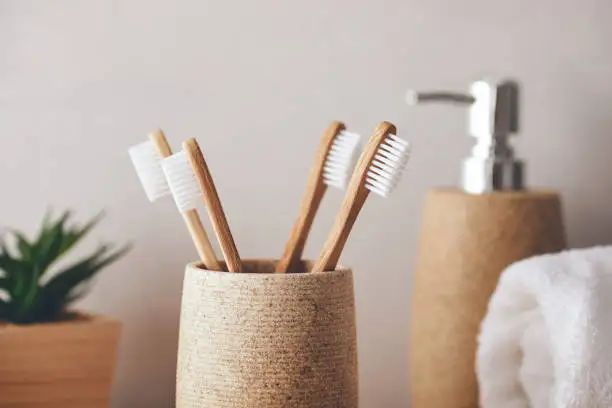 Toothpick 100 % Healthy Eco Organic Charcoal Bamboo Toothbrush