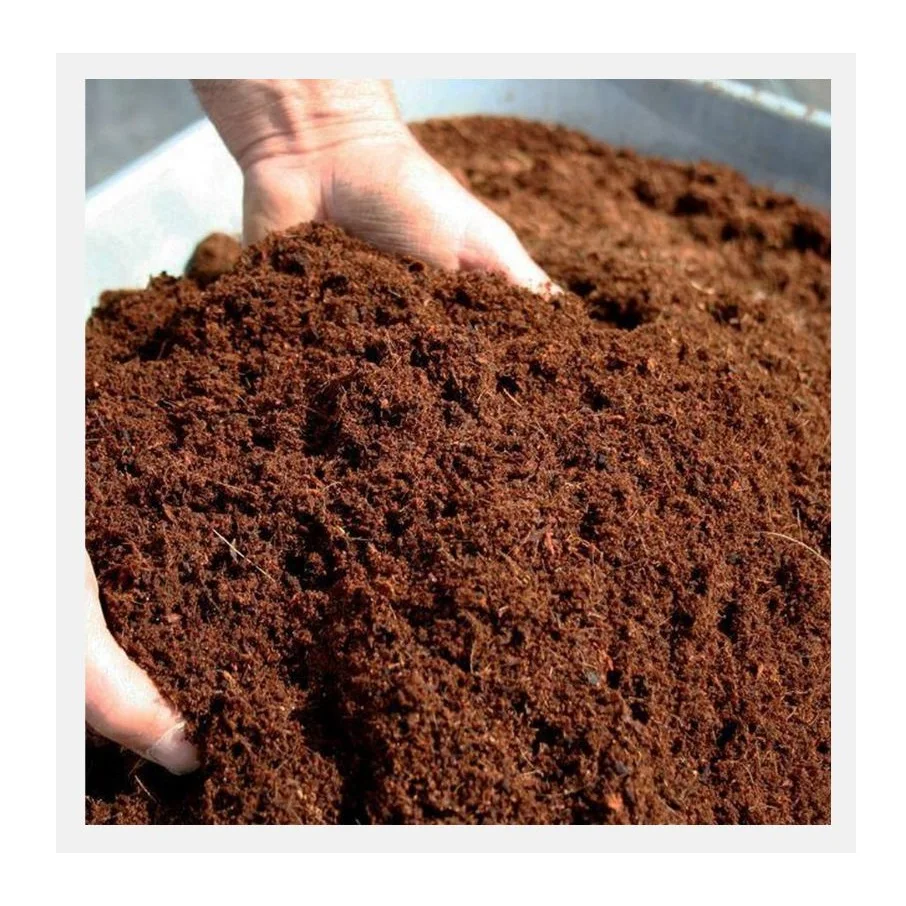 Organic Natural Cocopeat Soil Blocks 5kg Coconut Peat Moss Brick for Garden Growing and Potting Available for Sale