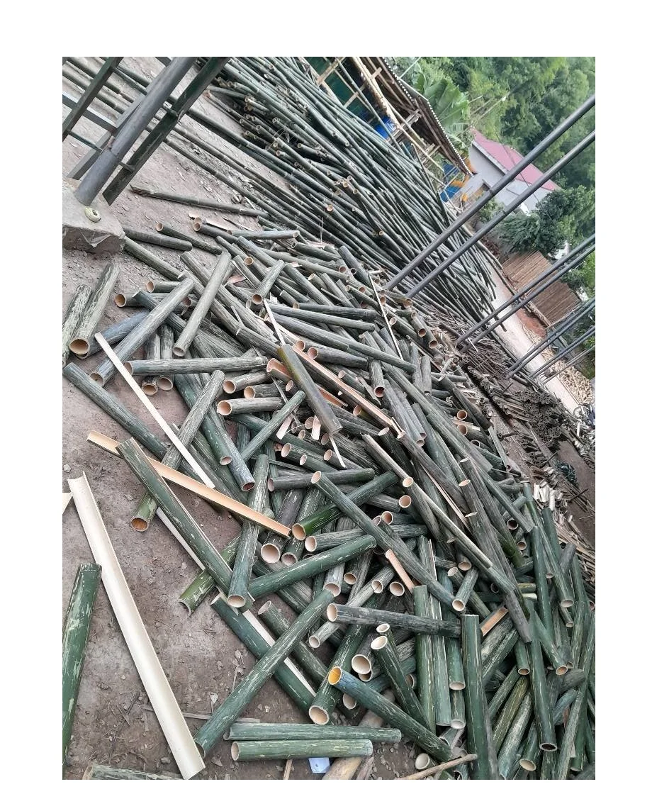 Лидер продаж 2024 натуральные бамбуковые трости для шеста/бамбук разделенное качество от 99 золотых данных Viet Nam