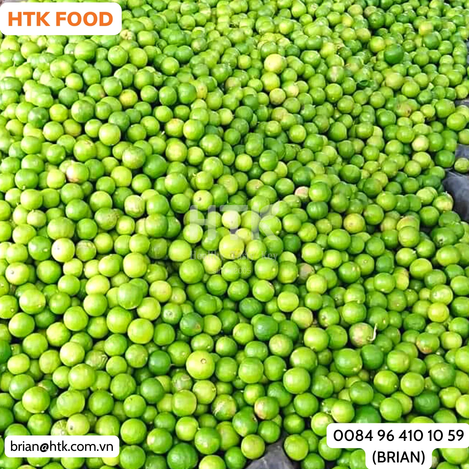 HEALTHY 2024 FROZEN IQF GREEN LIME Whole Half Cut Sliced Made In Vietnam Factory from HTK FOOD for Food & Beverage