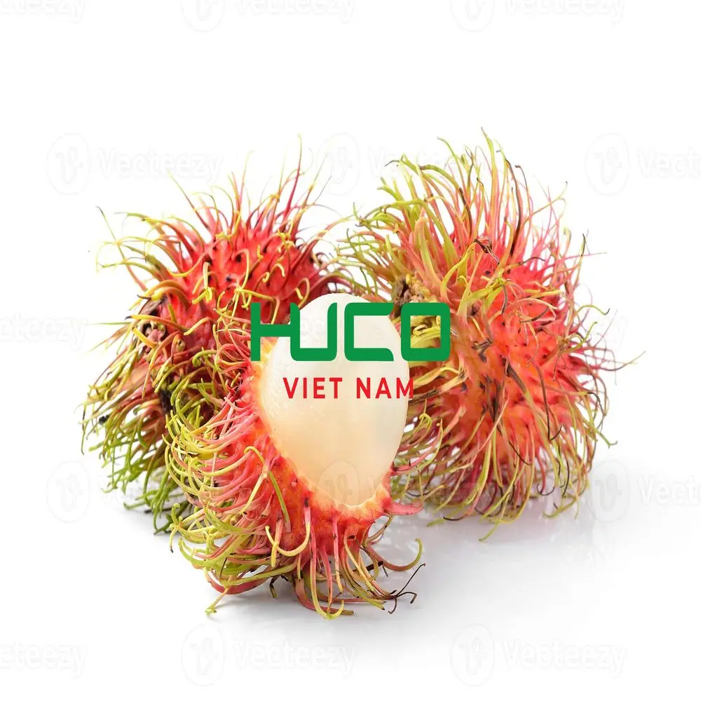Best Quality Good Price 100% Organic Fresh Rambutan From Vietnam