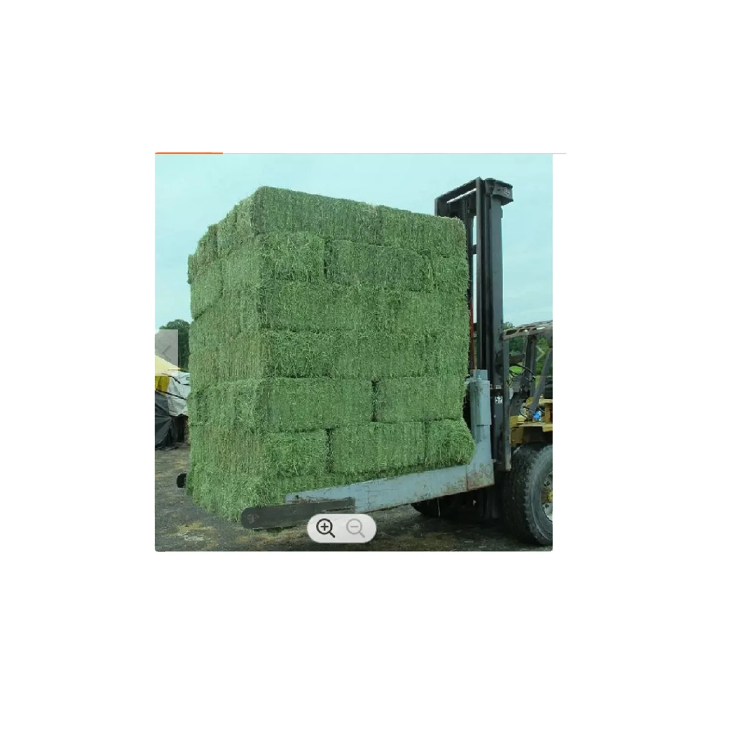 Макс Люцерна сено 1% максимальный корм для примесей 12x12x12 куб 450 кг тюки 25 тонн 15 дней собак свиней лошадей крупного рогатого скота