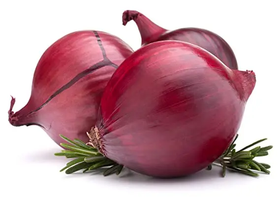Super Quality vegetables Red Onion for Cooking Food Available at Wholesale Price from Indian Exporter