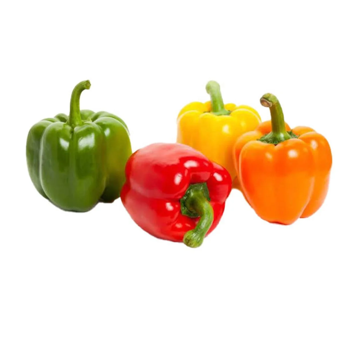 100% Natural Product Vietnamese Fresh Capsicum Fresh Bell Sweet Color Pepper Yellow Red