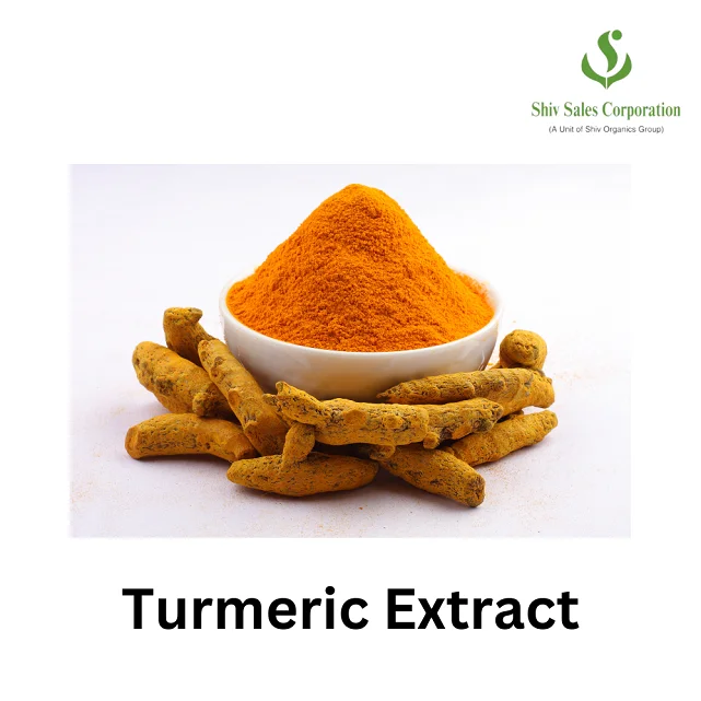 Turmeric Extract Curcuma Longa Extract Powder Best Price Supplement Turmeric Root Extract 95% Curcumin Powder Available for Sale