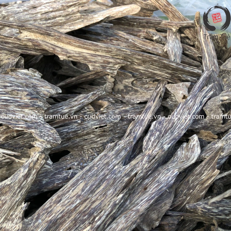 Vietnamese Hot Whole Sale High-quality Natural no Chemical Oud Agarwood Chips Pieces for making Oudh Incense Cone, Stick, Coil
