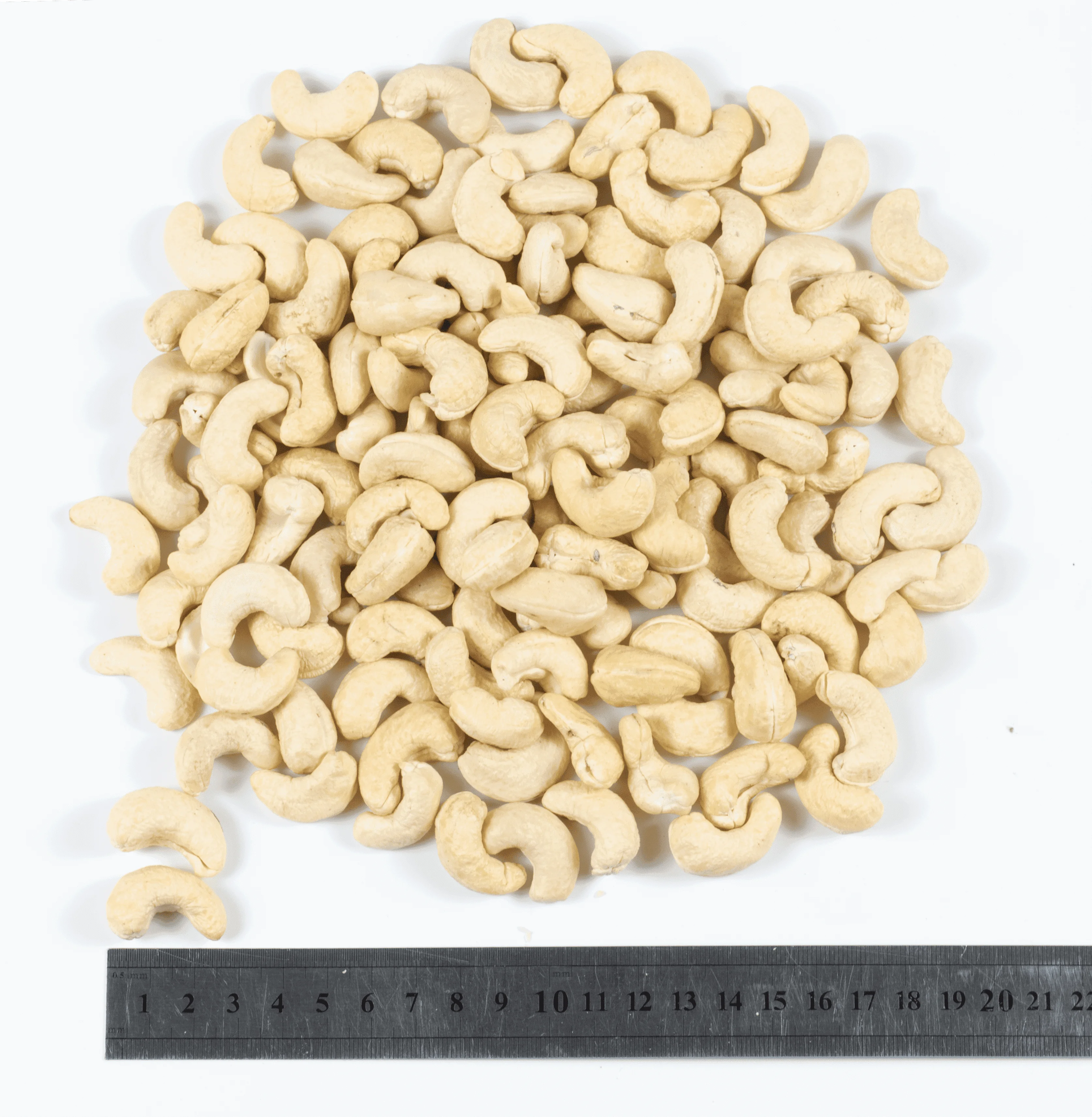 Plain White Cashews Pure and Simple Cashews with No Additional Flavors or Ingredients From Vietnam