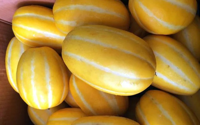 Wholesale High Quality Best Price 100% Natural Frozen Melon Fruit Shipping From Viet Nam Ms Sophie