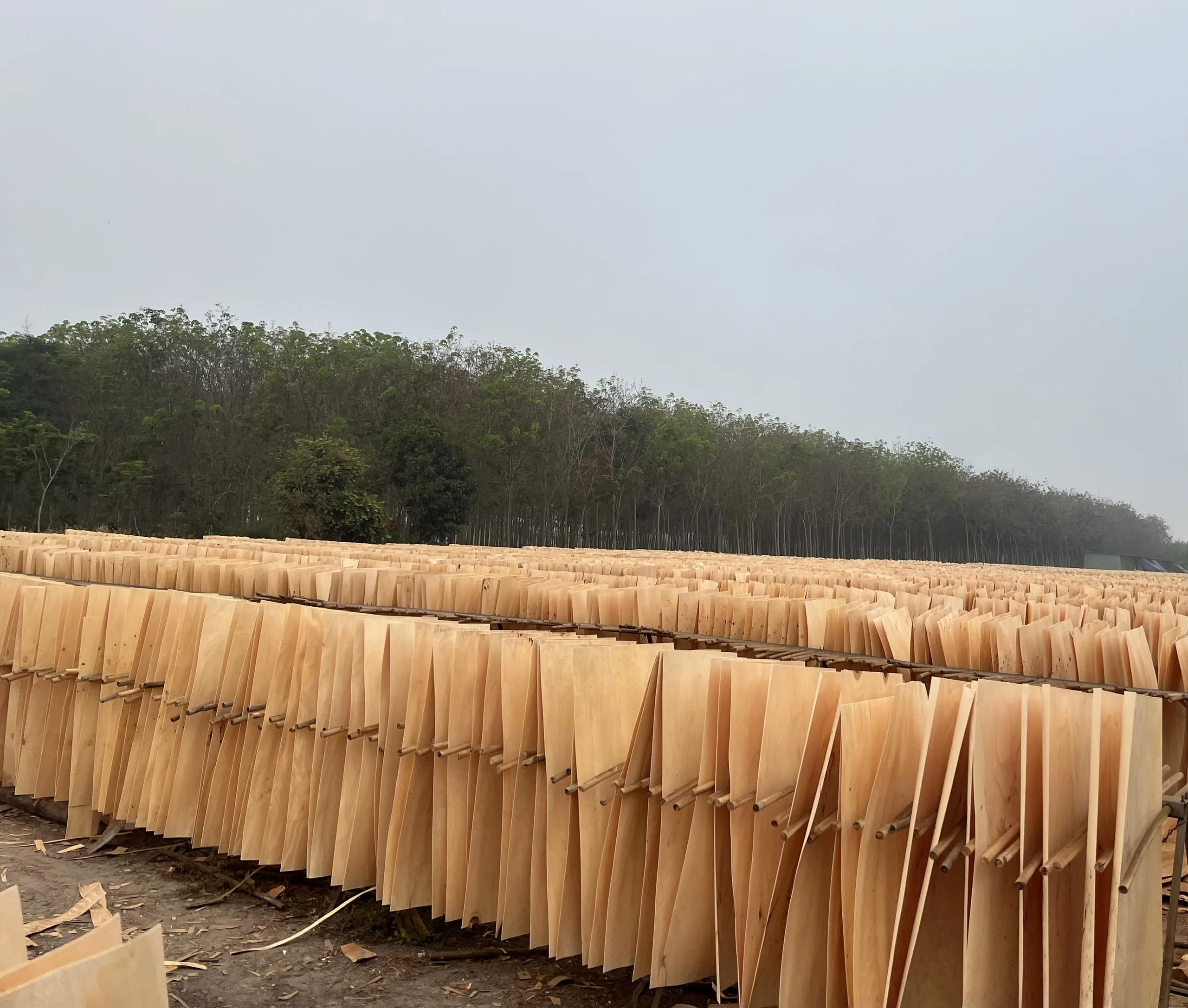 Резиновый шпон используется для производства качественной фанеры по низким ценам whatsapp: + 84338625625