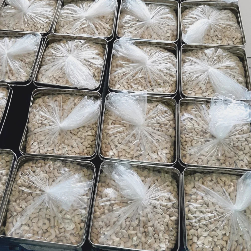 Made In Vietnam Kaju Cashew Cashew Nuts W320 W240 Noix De Cajoux Best Price Cashew Nuts Wholesale Nuts