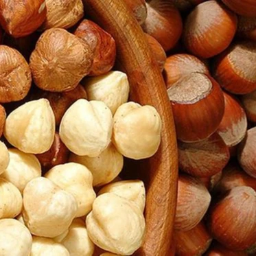 Hazelnut Style Packaging Organic Raw Origin Type Bakery High Dried Wholesale Quality Turkish Hazelnut AGROWELL TURKISH GOODS