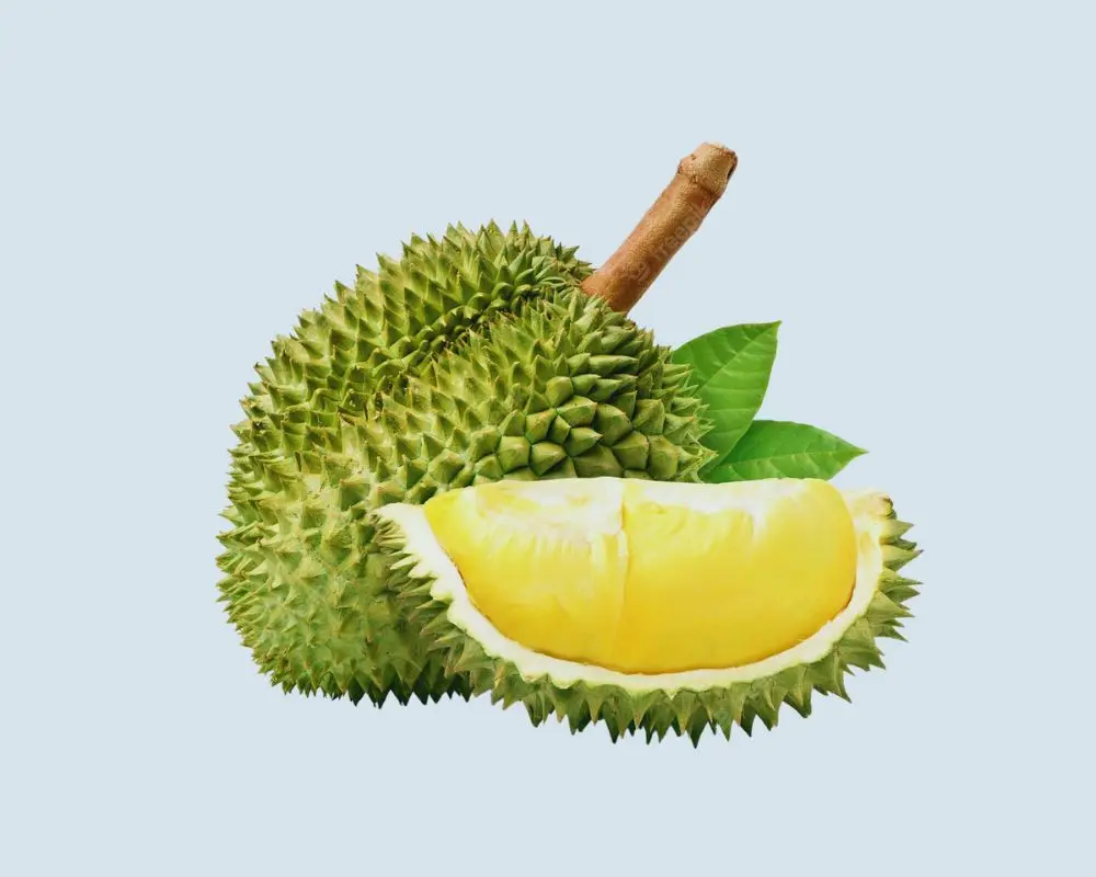 [ HOT HOT HOT] SUPER DELICIOUS FROZEN DURIAN FROM VIET DELTA/MS.OANH