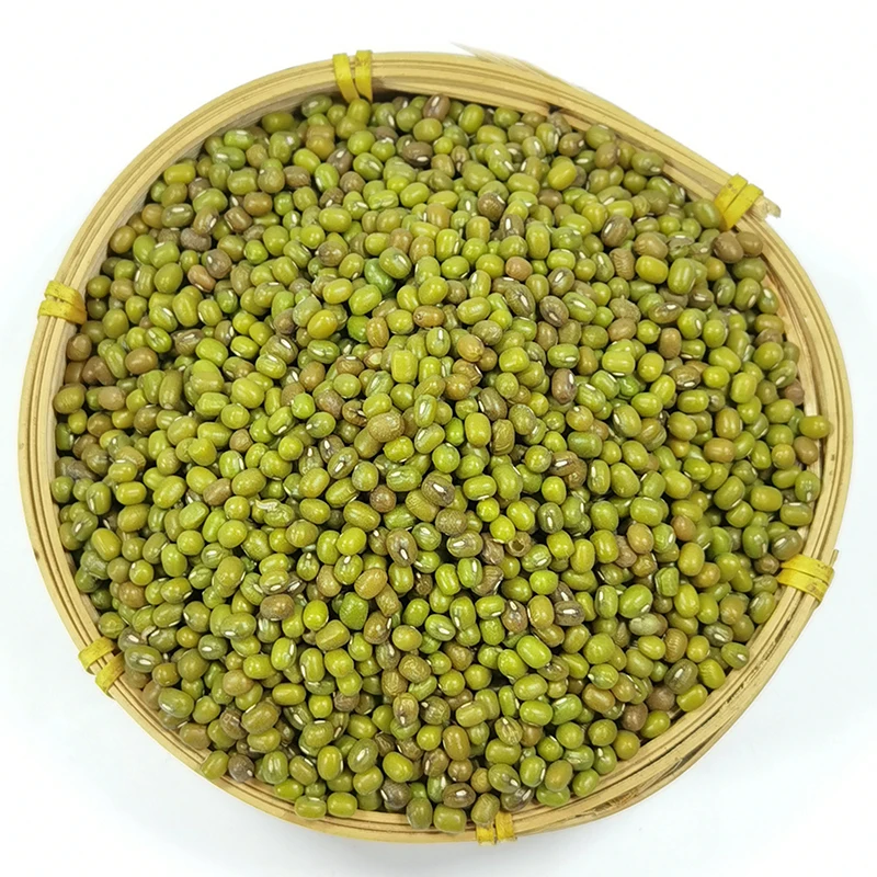 Wholesale Premium Agroculture Organic Dried Mung Bean Sprouts Mung Green Beans for Sale