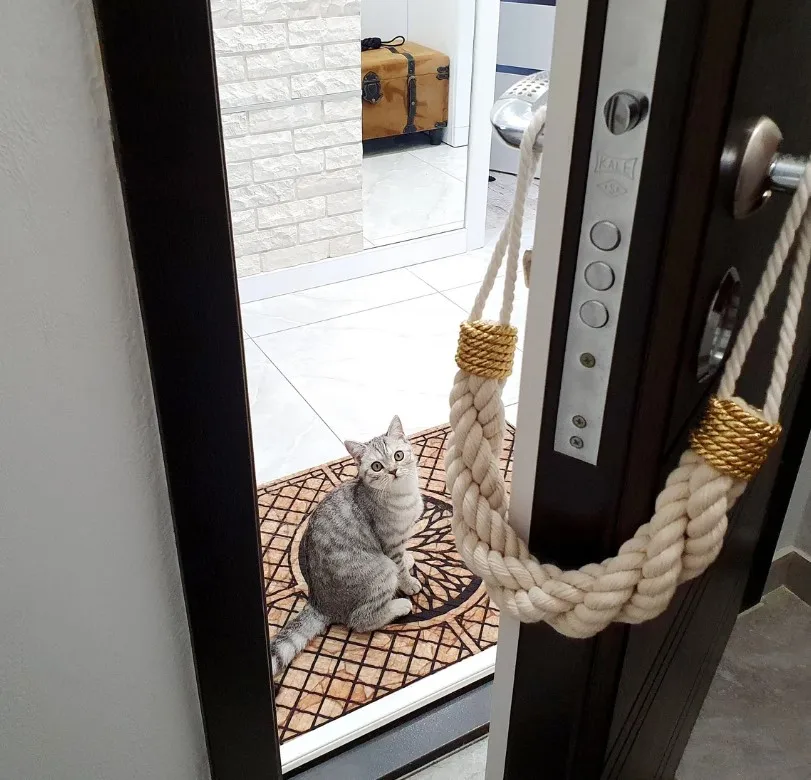 Door Stopper. Protecting Doors. Safety For Children. Protection For Dogs and Cats. White Door Stopper. Winding Golden Rope