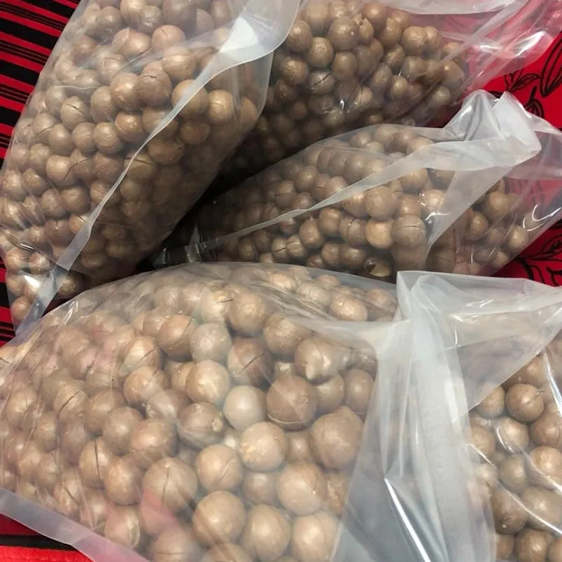 Macca Size 29-35 or Flagship Vietnamese Macadamia Factory Prices For Exporting Maca Nuts Dried