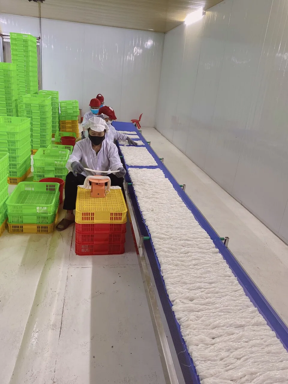 Food dry vermice instant noodles  rice and salt food  fresh food from hai duong viet nam