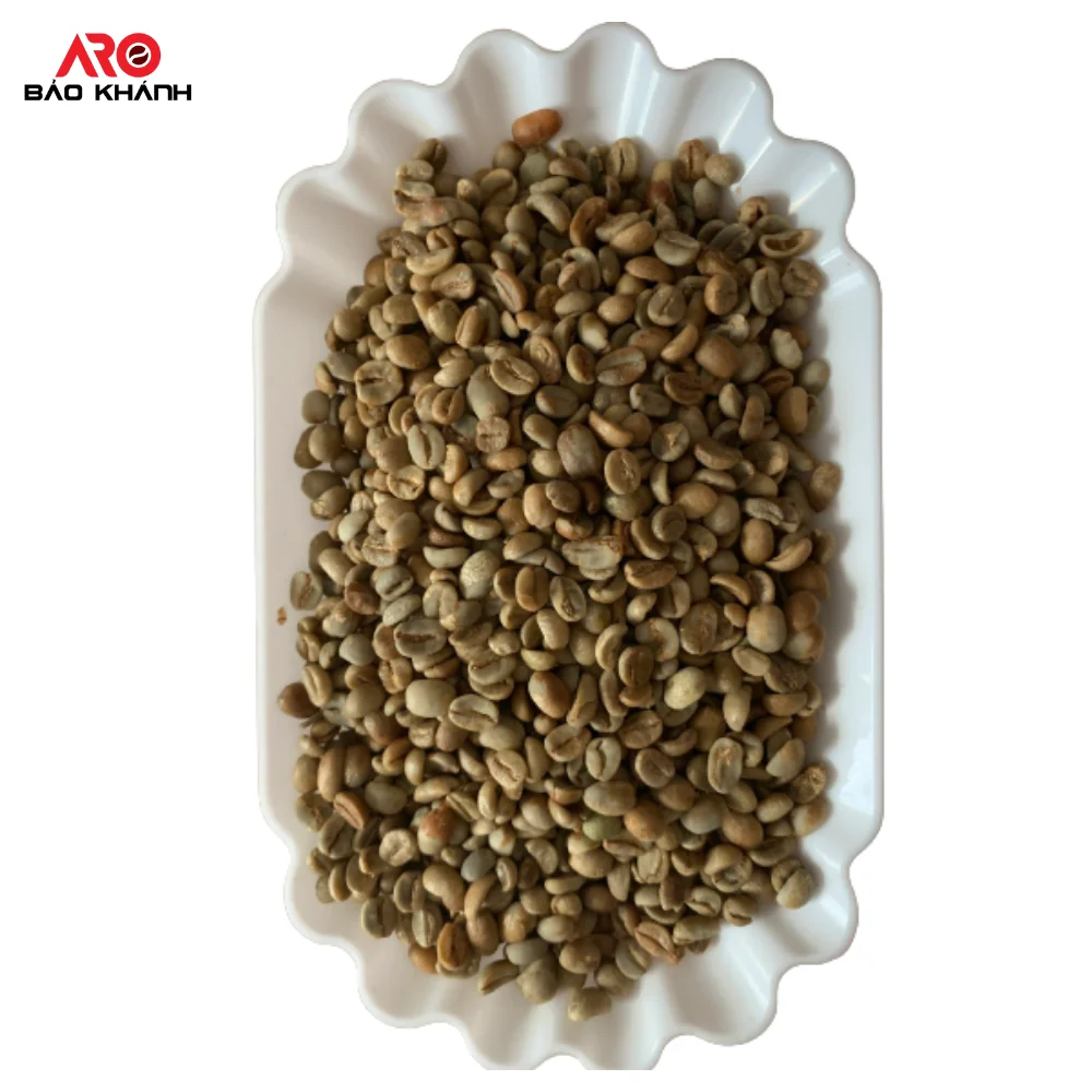 Недорогие зеленые кофейные зерна Robusta G2 столичного кофе в Gia Lai Vietnam обработка натурального сильного Горького нейтрального вкуса