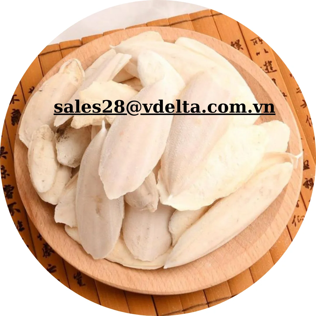 HOT PRODUCT DRIED CUTTLEFISH BONE EXPORTED/CUTTLEFISH BONE MAKE TOYS AND FOOD FOR PARROTS FROM VIETNAM /Ms. Shyn +84382089109