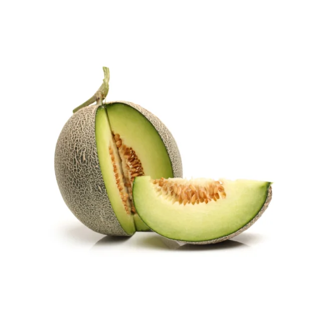 New Crop Fresh Cantaloupe Melon for Sale From Vietnam