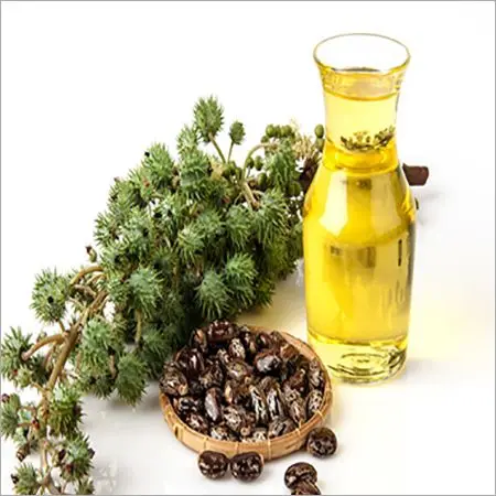 High Quality Organic Refined Castor Oil Ready for Sale Great for Cooking Bulk Packaging Quality at a Cheap Price